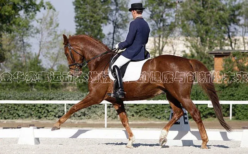 耀世娱乐app下载安装